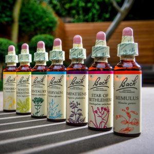 Bach巴哈情緒花精