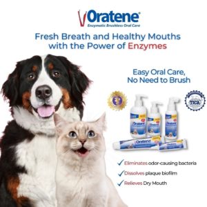 白樂丁寵物口腔系列